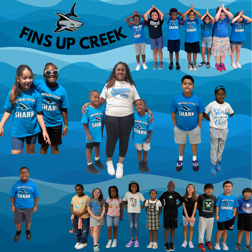 Live Feed | Shirley Dill Brothers Elementary