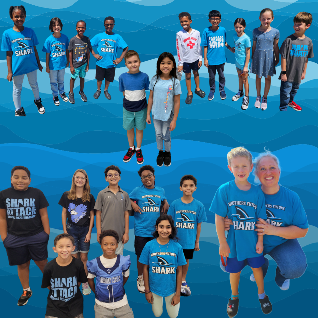 Live Feed | Shirley Dill Brothers Elementary