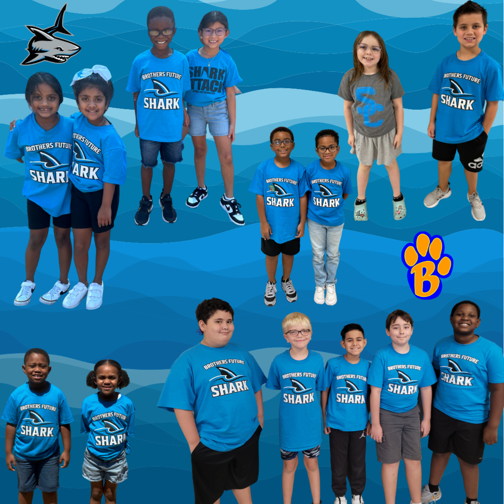 Live Feed Shirley Dill Brothers Elementary